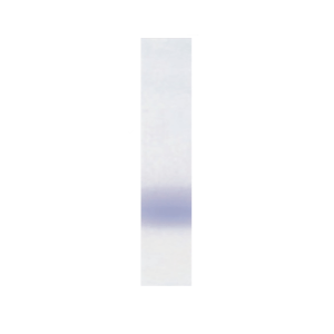 GRS DNA Loading Buffer Blue (6X)