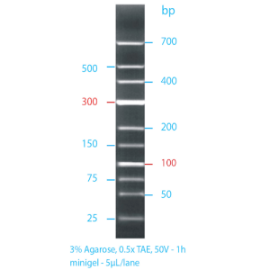 GRS Low Range Ladder