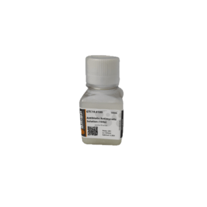 Antibiotic-antimycotic Solution (100x)
