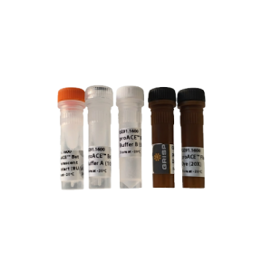proACE™ Bst Fluorescent Hotstart