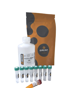 dsDNA Quantification Kit – Broad Range (for microplate reader)